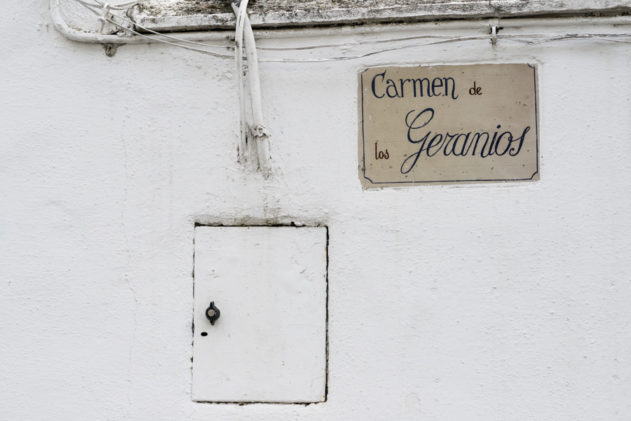 preboda_almudena_unai_blog-031