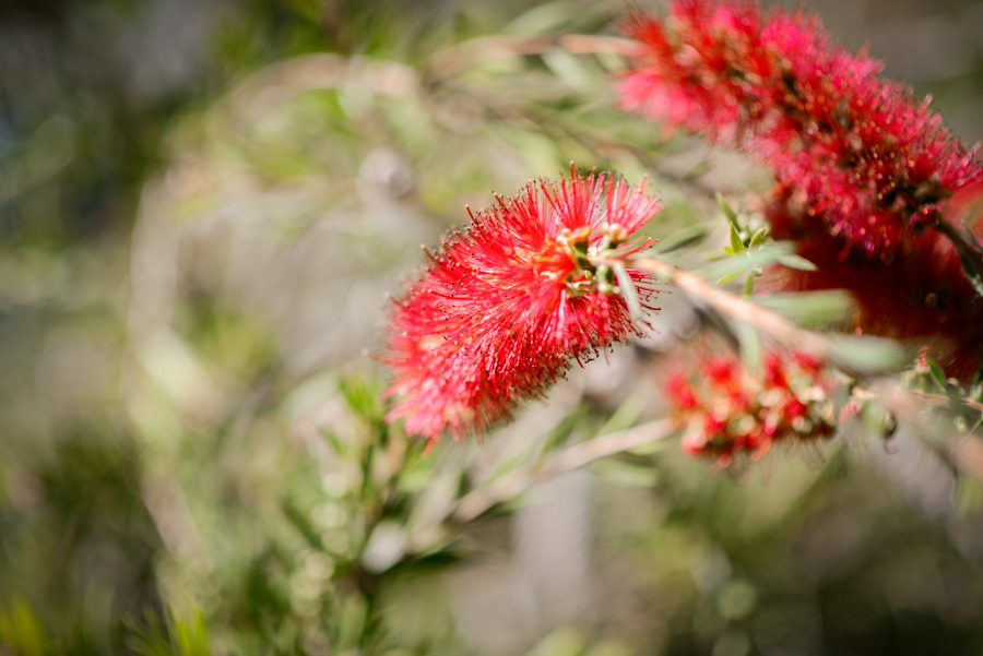 Preboda Ana y Diego-069