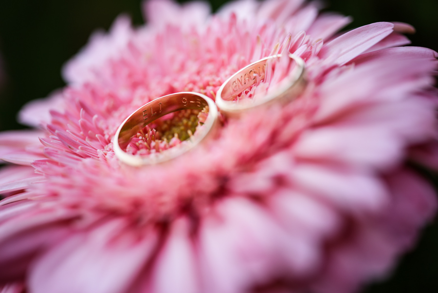 casa_de_eli-004_baja