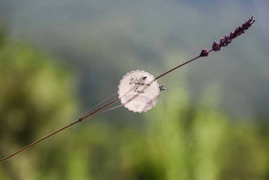 día_siguiente-004_baja