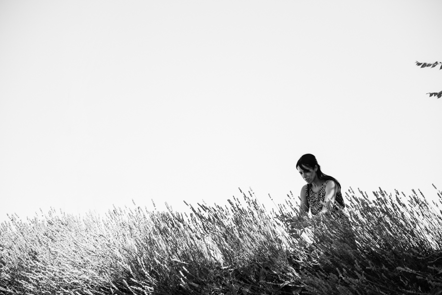 preparativos-016_blog